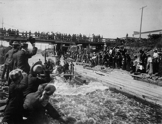 Timber slide in Ottawa, with the Duke of York on timber raft, Sept. 1901. Public Domain